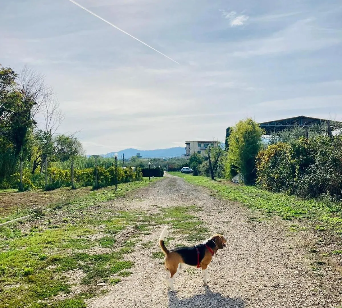 Villa Bubu, Appartamento Country-Chic Rome Holiday home