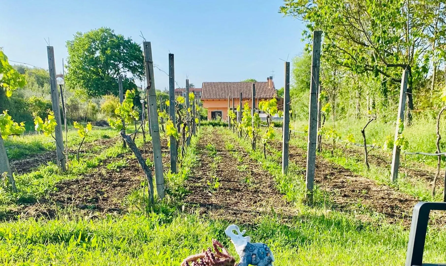 Holiday home Villa Bubu, Appartamento Country-Chic Rome Italy