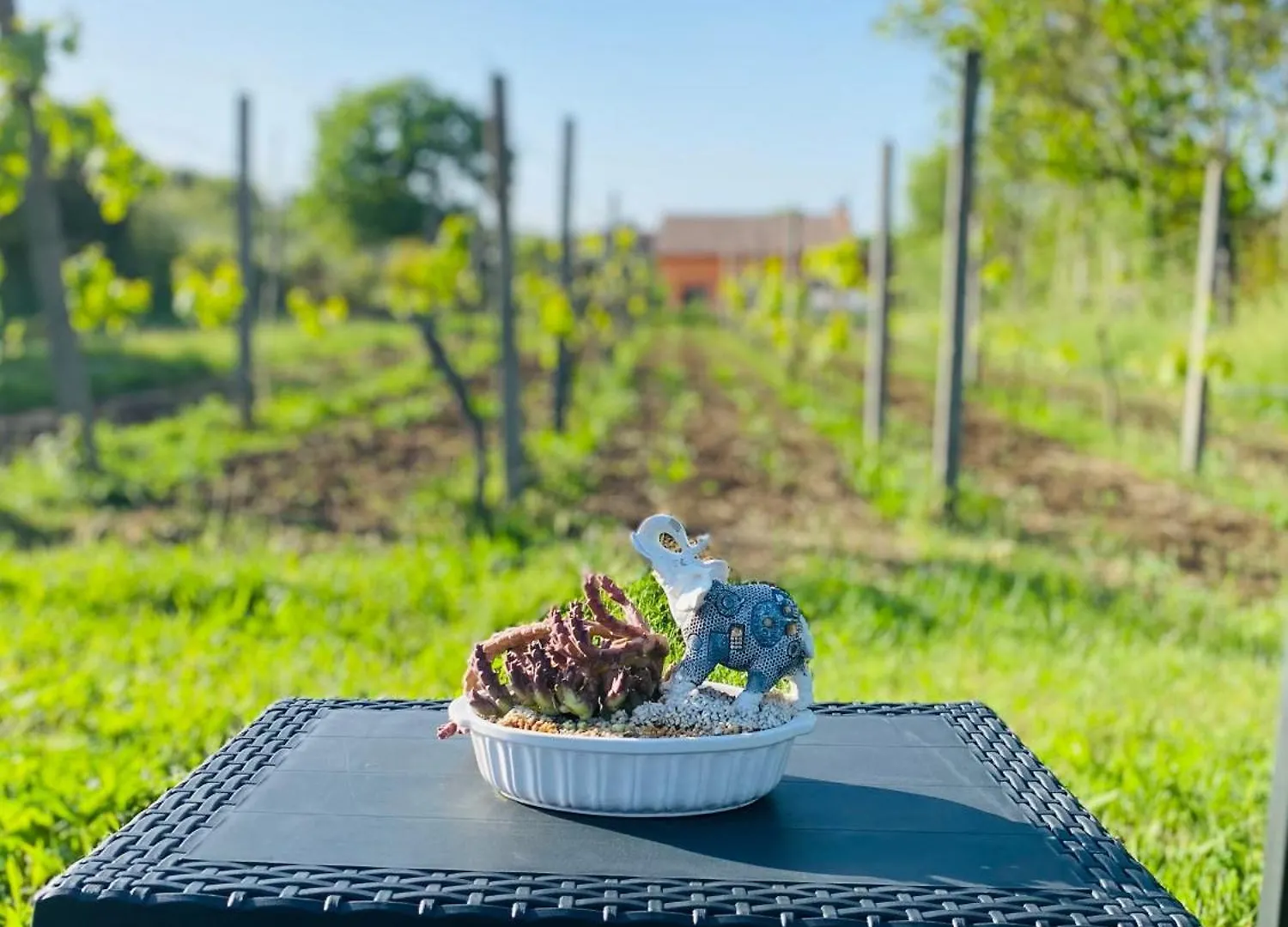 Villa Bubu, Appartamento Country-Chic Rome 0*,